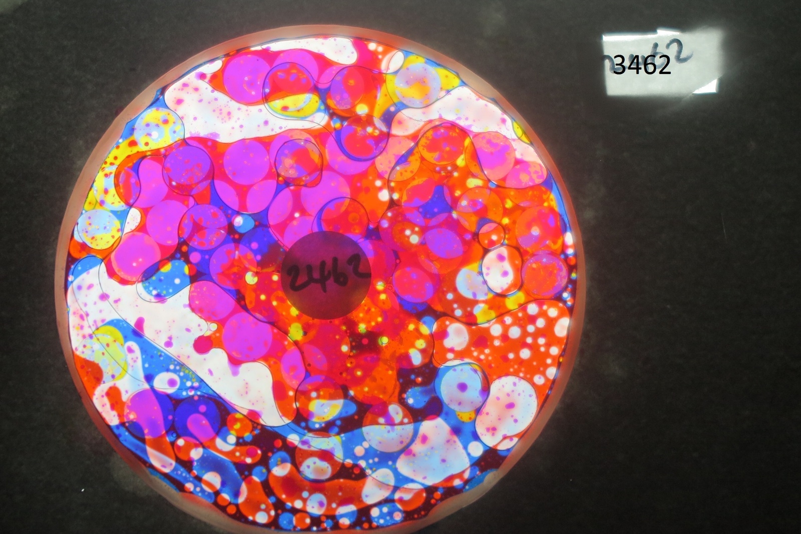 BV3462 bubble vision oil wheel